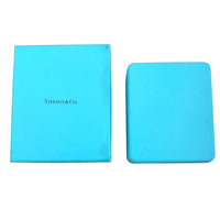 Tiffany & Co. Platinum Diamond Soleste Pendant box