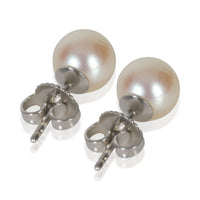 Tiffany & Co. White Gold  Signature Pearl 7 7.5mm Earrings pv