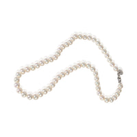 Tiffany & Co. White Gold  Pearl Essentials Necklace pv